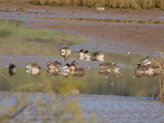 Por la ría de Villaviciosa