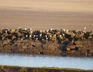 Por la ría de Villaviciosa