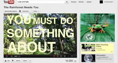 Video: Follow the frog