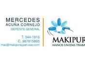 Programacion television