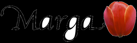 Designio ~ Amanda Hocking Designio ~ Amanda Hocking