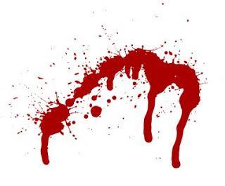 Diego Barragán ~ Autor Novato