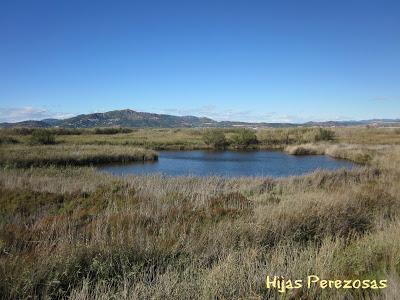 Desafío perezoso... La marjal dels Moros