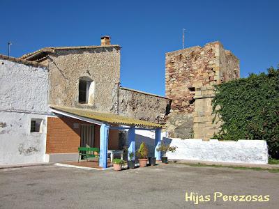 Desafío perezoso... La marjal dels Moros