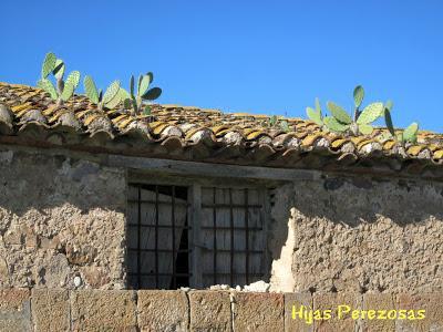 Desafío perezoso... La marjal dels Moros