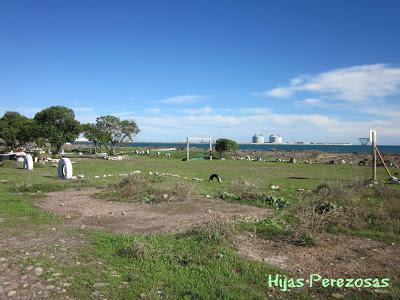 Desafío perezoso... La marjal dels Moros
