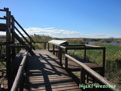 Desafío perezoso... La marjal dels Moros