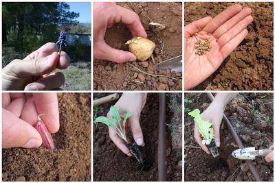 La Vuelta al Mundo manual...