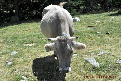Cuaderno de viaje... Aigüestortes