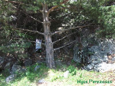 Cuaderno de viaje... Aigüestortes