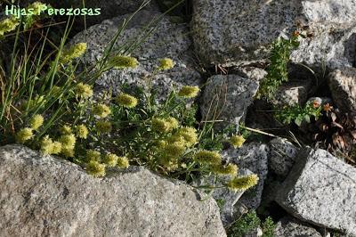 Cuaderno de viaje... Aigüestortes