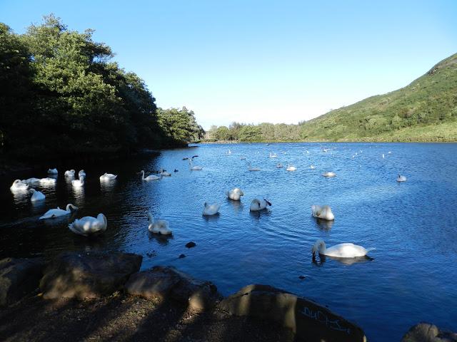 Arthur’s Seat, la montaña de Edimburgo