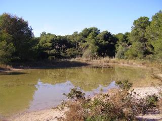 La Dehesa del Saler, Valencia