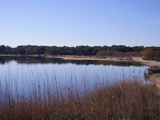 La Dehesa del Saler, Valencia