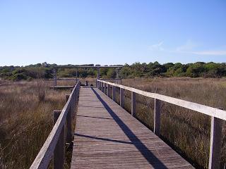 La Dehesa del Saler, Valencia