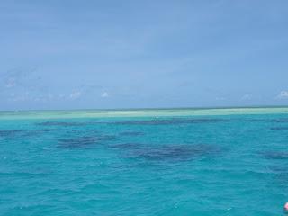 Gran Barrera de Coral