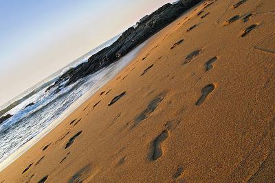 Alguien podría rastrear el cursor de tu mouse si usas Internet Explorer