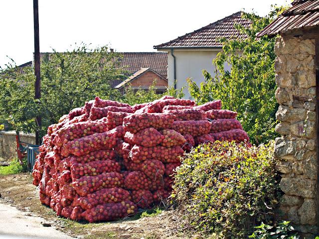 La tranquila belleza del Lago Prespa