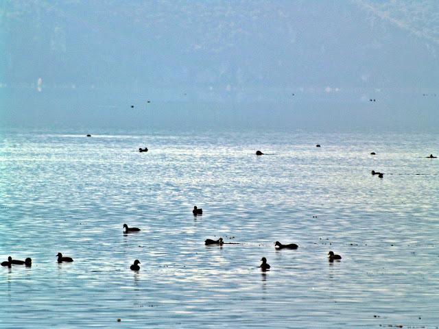 La tranquila belleza del Lago Prespa
