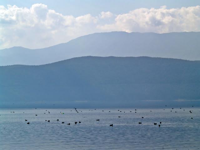 La tranquila belleza del Lago Prespa