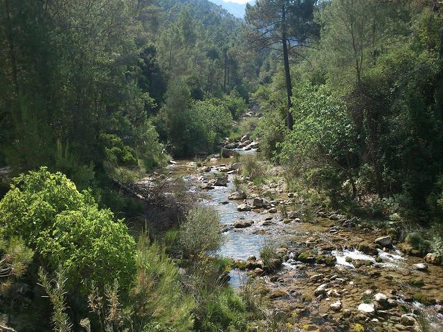 RUTA POR LA SIERRA DE CAZORLA