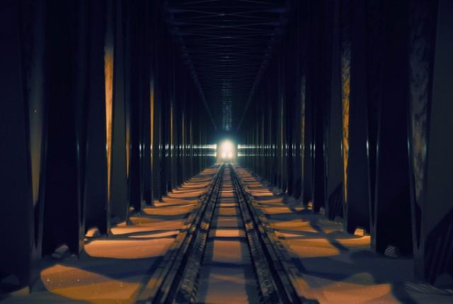 Fotografía - Zoltan Koi