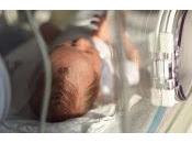 TDAH ¿menos genético ambiental?