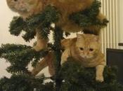 Sabia esto pasar, porque, pero tenia sensacion