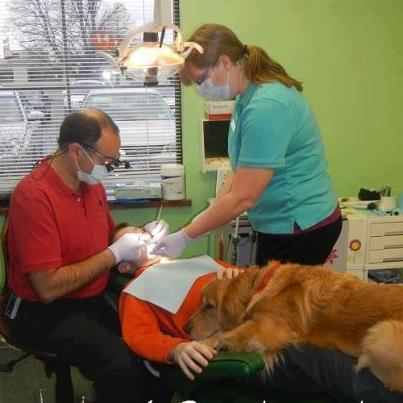 Foto: El odontólogo pediátrico Dr. Paul Weiss lleva a Brook, su perro, al consultorio cada día.  Brook ayuda a los chicos que están nerviosos  (Aqui estoy segura que mas de una madre pondría el grito en el cielo :-(