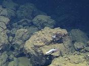 Extraño volcán submarino descubierto Baja California