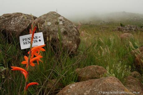 Montes Drakensberg, un viaje dentro de otro viaje