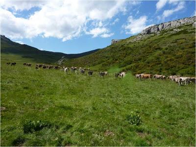 Entre el Pisuerga y el Carrión