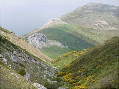 Entre el Pisuerga y el Carrión