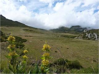 Entre el Pisuerga y el Carrión