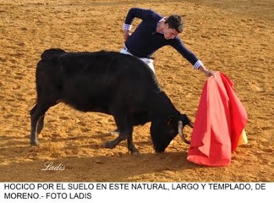 TENTADERO EN MADROÑIZ :  MIGUEL ÁNGEL MORENO LO BORDA CON CINCO VACAS DEL HIERRO DE ANTONIO ARRIBAS