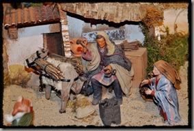 BelenLasFuentes (12)