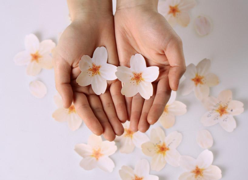 Pos-it con hojas de Arce