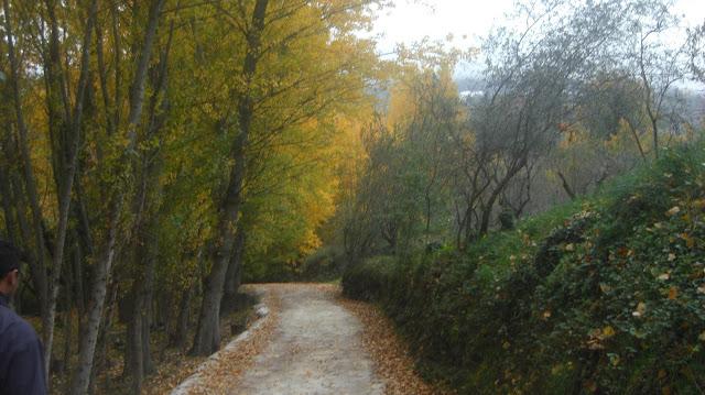 Paseo por el silencio...