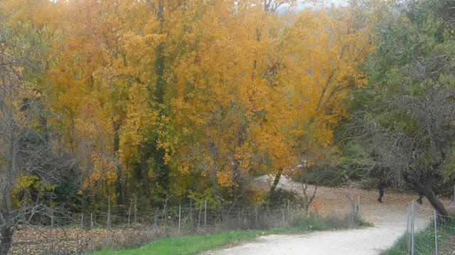 Paseo por el silencio...