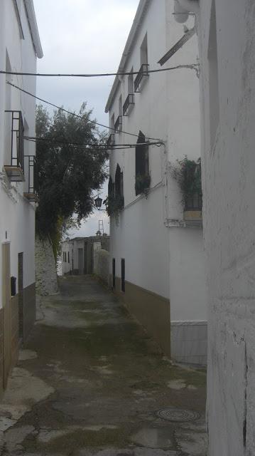 Paseo por el silencio...