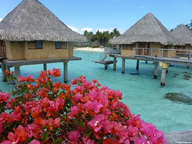 Bora Bora, Nueva Zelanda