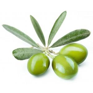 Extracto de hoja de oliva para la salud del corazón.