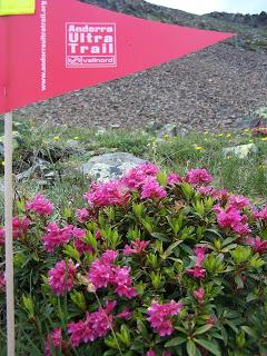 Andorra Ultratrail 6-7-8 julio 2012