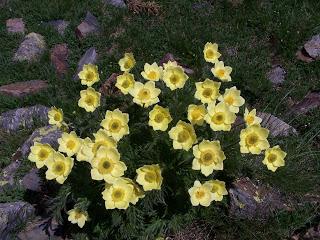 Andorra Ultratrail 6-7-8 julio 2012