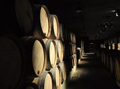 ruta vino Rioja alavesa