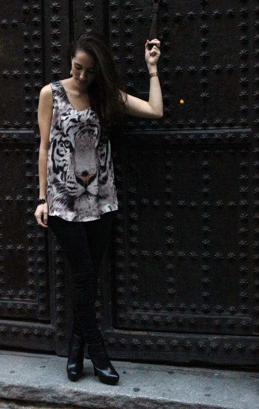 Image Hosted by ImageShack.us