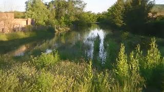 CUIDEMOS LOS HUMEDALES