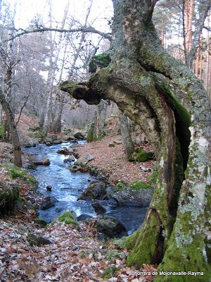 Chorrera de Mojonavalle, Puerto de Canencia (Madrid) 16-12-12