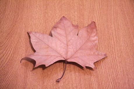 DIY: Xmas Ornaments DIY: Xmas Ornaments