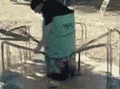 todos grupos amigos gordete tiene probar antes cosas